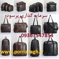 فرصت سرمایه گذاری در تولیدی پررونق با سود بالا 2